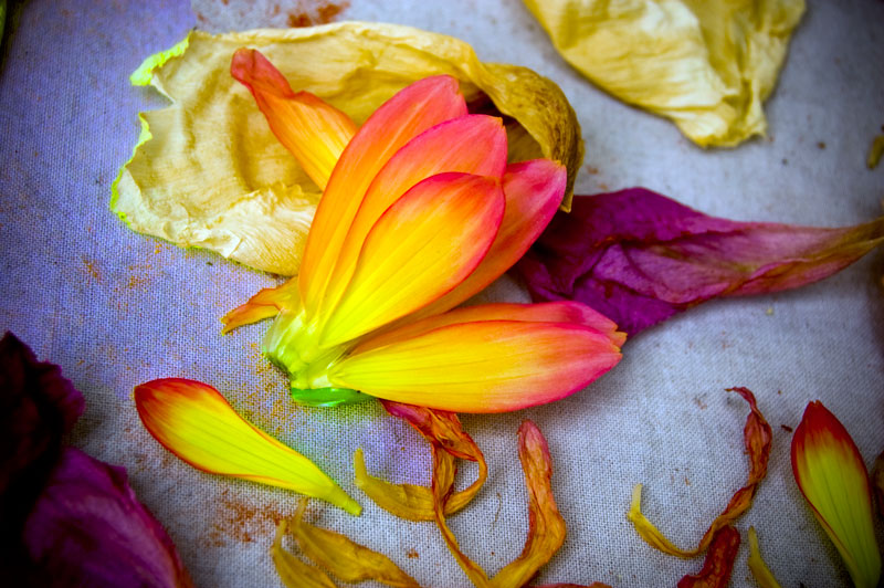 DSC_0128a-